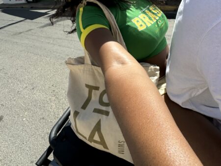 Tola Tote